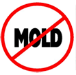 No Mold