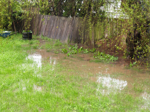 a flooded backyard in louisville that needs a yard drainage system