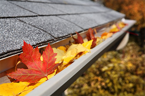 Fall Home Maintenance Tips from Best Waterproofing