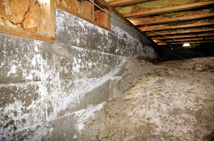 Signs You Need Crawl Space Waterproofing