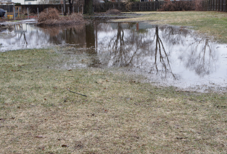 How to Remove Standing Water in the Winter